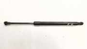 Heckklappe Gasdruckfeder links BMW 2 Coupe (F22, F87) 218 d 7304556