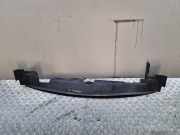 Kühlerluftumlenker MITSUBISHI GRANDIS (NA_W) 2.4 MIVEC (NA4W) MR958114
