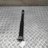 Stoßdämpfer hinten links FORD PUMA (J2K, CF7) 1.0 EcoBoost mHEV L1TC-18080-LF