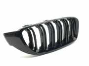 Gitter BMW 4 Coupe (F32, F82) 428 i