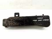 Kraftstoffdampffilter (EVAP) PEUGEOT 2008 II 1.2 PureTech 130 9829656180