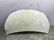 Motorhaube TOYOTA YARIS (_P13_) 1.5 Hybrid (NHP130_)