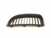 Vorderer oberer Gitter BMW 3 Touring (E91) 320 d 22405910