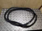 Türgummi links vorne VW Passat B7 (362) 3C4867911B