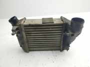 Ladeluftkühler Audi A4 Avant (8E, B6)