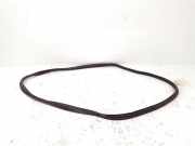 Türgummi links vorne Renault Megane IV Grandtour (K9A)