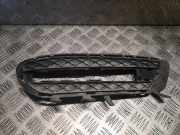 Gitter Grill vorne links MERCEDES-BENZ E T-Model (S212) E 220 CDI / BlueTEC (212.202, 212.201) A2128851523 2128851523