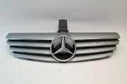 Ziergitter Mercedes-Benz CLK (C209)