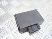 Andere Steuergeräte CITROËN SAXO (S0, S1) 1.5 D 9624799080 73642002