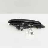 Türaußengriff hinten links