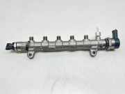 Einspritzleiste Hyundai Tucson III (TL, TLE) 314002A650