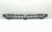 Gitter vorne unten BMW X3 (F25) xDrive 35 i 8048096