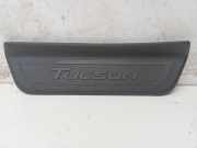 Innenschwellenzierleiste hinten links