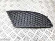 Lüftungsgitter für Stoßfänger Seat Leon (1P) 1P0853666