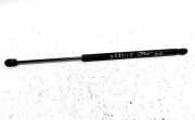 Heckklappe Gasdruckfeder links RENAULT SCÉNIC II (JM0/1_) 1.9 dCi (JM0G, JM12, JM1G, JM2C) 8200377199