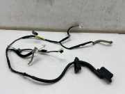 Kabel Tür vorne rechts NISSAN X-TRAIL IV (T33) 1.5 VC-T Mild Hybrid 241246RP6A