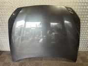 Motorhaube BMW 5 Gran Turismo (F07) 530 d 9241492