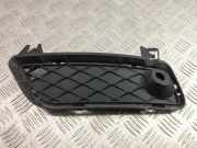 Gitter vorne unten BMW X3 (F25) xDrive 28 i 7249595