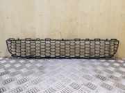 Gitter vorne unten TOYOTA COROLLA Verso (_E12_) 2.0 D-4D (CDE120_) 531120F010