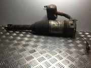 pneumatischer Stoßdämpfer hinten links