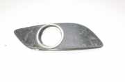 Nebelscheinwerferverkleidung MERCEDES-BENZ B (W245) B 180 CDI (245.207) A1698851222