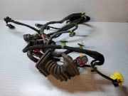 Kabel der vorderen linken Tür VW PASSAT B7 ALLTRACK (365) 2.0 TDI 987614109