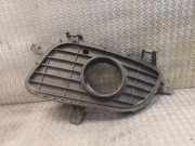Gitter Grill vorne links MERCEDES-BENZ A (W169) A 180 CDI (169.007, 169.307) 1698850522