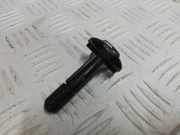 Kühlerträger Dacia Sandero I (BS)