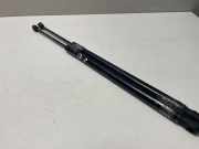 Heckklappe Gasdruckfeder links VW PASSAT Variant B8 (3G5) 2.0 TDI 3G9827550B