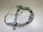 Dach SRS rechts FORD KUGA I 2.0 TDCi 7M51R14K159AJ C214C394