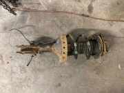 Stoßdämpfer hinten links SUBARU JUSTY IV 1.0