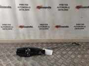 Türaußengriff hinten links VW TIGUAN (AD1) 1.5 TSI 510837811 314819