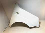 Kotflügel vorne rechts FIAT DOBLO Cargo (223_) 1.9 JTD Multijet