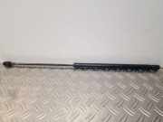 Heckklappendämpfer links VW New Beetle (9C) 1C0827550A