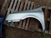 Kotflügel vorne links RENAULT VEL SATIS (BJ0_) 3.0 dCi (BJ0J, BJ0N) 8200054989 8200018521