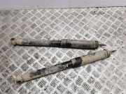 Stoßdämpfer rechts hinten Mercedes-Benz A-Klasse (W169)