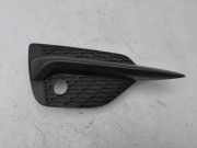 Gitter vorne unten NISSAN QASHQAI II (J11, J11_) 1.5 dCi 62257HV10A