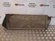 Ladeluftkühler Mercedes-Benz Sprinter 3t Pritsche (903)