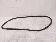 Türdichtung vorne rechts VOLVO V90 II 2.0 D4 31371589