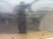 Motorhaube FORD FOCUS C-MAX 1.8