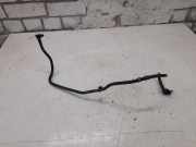 Bremsschläuche RENAULT CLIO V (B7_) 1.3 TCe 130 (B7MF)