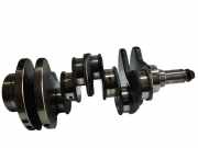 Kurbelwelle LAND ROVER RANGE ROVER SPORT (L320) 2.7 D 4x4 A58 276DT