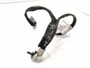 Kabelbaum FIAT ULYSSE (179_) 2.0 JTD 1492889080