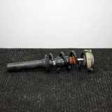 Stoßdämpfer vorne rechts AUDI A5 Sportback (F5A) S5 quattro 8W0413029H