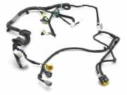 Kabel der vorderen linken Tür NISSAN NP300 NAVARA Pick-up (D23) 2.3 dCi 4x4 (D231) 241254KJ0E
