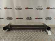 Ladeluftkühler Mercedes-Benz A-Klasse (W169) B0278