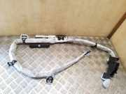 Dach SRS rechts BMW 3 Touring (E91) 318 d 85696686003B