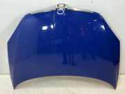 Motorhaube SKODA FABIA II (542) 1.2 5J0823031A