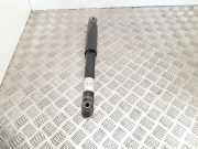 Stoßdämpfer rechts hinten Citroen C5 II (RC) 281700315165