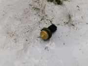 Andere innere Motorteile NISSAN X-TRAIL (T31) 2.0 dCi